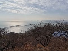 -星海湾跨海大桥