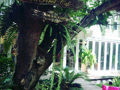院子-Fern Forest Cafe