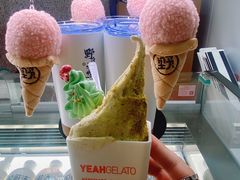 -野人先生现做冰淇淋(北京环宇荟店)