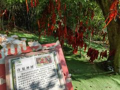 -广州白江湖森林公园