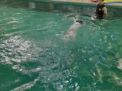 -BlueBubble蓝泡泡婴幼儿游泳会所(合川路店)