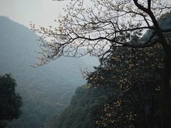-午潮山国家森林公园