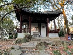 -秋霞圃