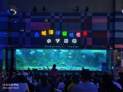 -泉城欧乐堡海洋极地世界