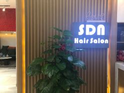 -尚·丹尼Hair