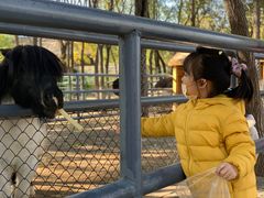 -长白岛森林公园