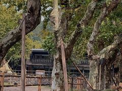 -裸心谷·裸心味餐厅