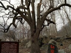 -北京密云天门山风景区