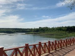 -丁香湖公园