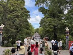 -都江堰中华大熊猫苑