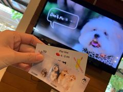 -TrueLove @ Neverland (Husky Cafe)