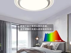 -张士灯具城(家居优选店)