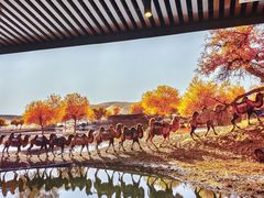 -新疆阿卜杜拉烧烤餐厅(四方坪店)