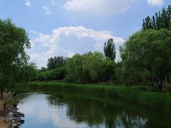 -大兴滨河森林公园