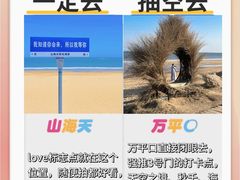 -日照海滨国家森林公园
