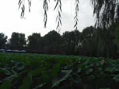 -潇湘甲鱼村(清河店)