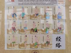 -广州神农草堂中医药博物馆