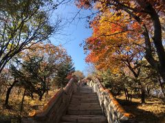 -妙峰山风景名胜区
