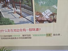 -三江森林温泉度假区