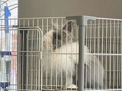 -小意思咖啡店(草桥店)