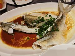 银鳕鱼-都市阳光海鲜城(青山湖店)