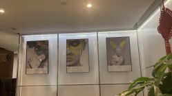 -崇尚GAVIN STYLE臻选