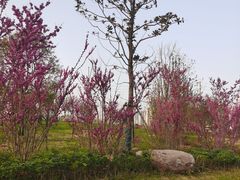 -西吴河科普公园