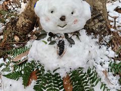 -敬亭山风景名胜区