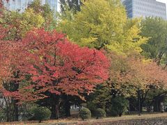 -北海道厅旧本厅舍(旧本庁舎)