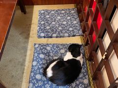 -樱の花亭日本料理店