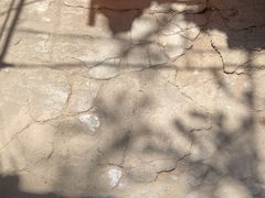 -胖哥料理(兴义里店)