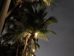 -深圳湾公园(南山区)