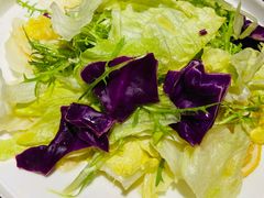 巧嫂大拌菜-雲蜀龙阁·金牌水煮鱼(方庄店)