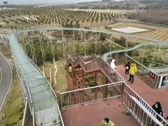 -云幽谷旅游区