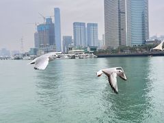 -黄金海岸环岛路