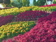 -沂蒙云瀑洞天景区