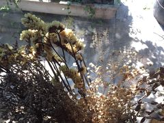 -西关84·History·Art·Cafe