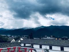 -喵屿·大理花园猫咖