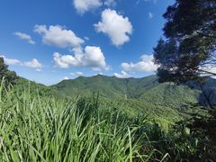 -梧桐山风景名胜区