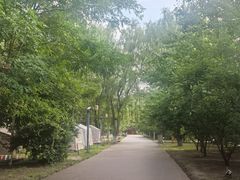 -长白岛森林公园