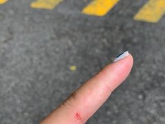 -新加坡飞禽公园