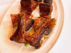 -新吉士·上海菜(浦东LCM置汇旭辉店)