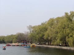 -北陵公园