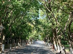 -青岛第二海水浴场