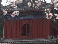 -大觉寺-停车场