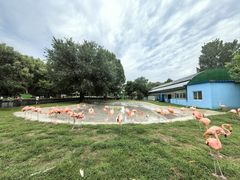 -秦皇岛野生动物园