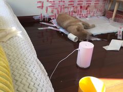 -畜牧兽医站(共江路店)