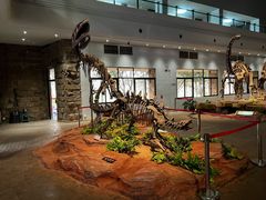 -自贡恐龙博物馆