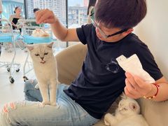 -怪兽屋·羊驼·猫咖·狗咖(俊华广场店)