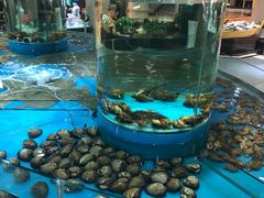 -亚丁湾海鲜大酒店(万泉嘉苑店)